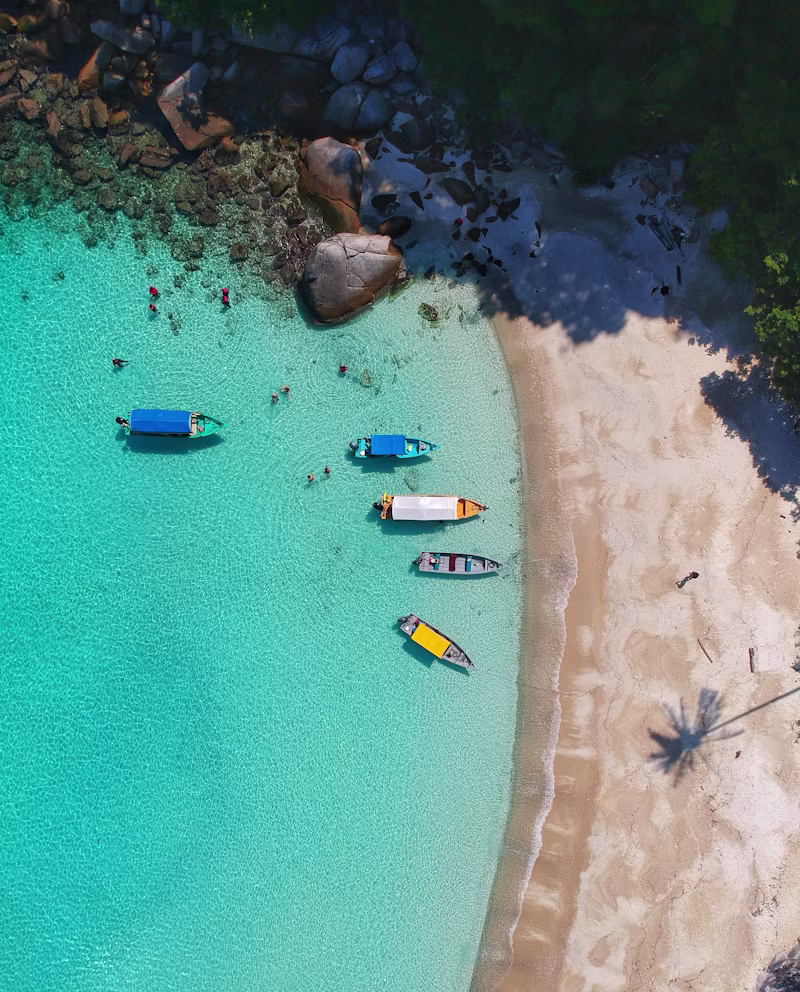 Private chauffeur day tours and sightseeing in Queensland